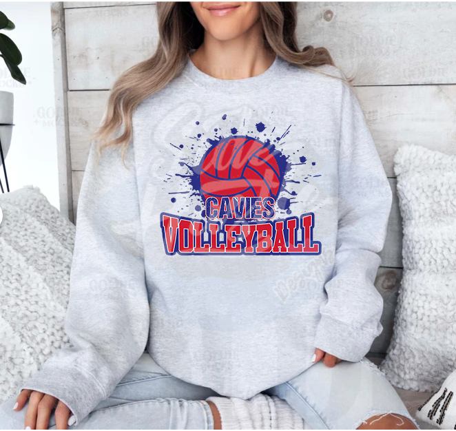 VOLLEYBALL SPLATTER