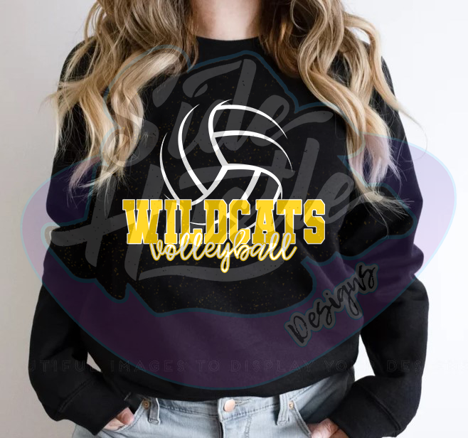 2026 VOLLEYBALL SIMPLE