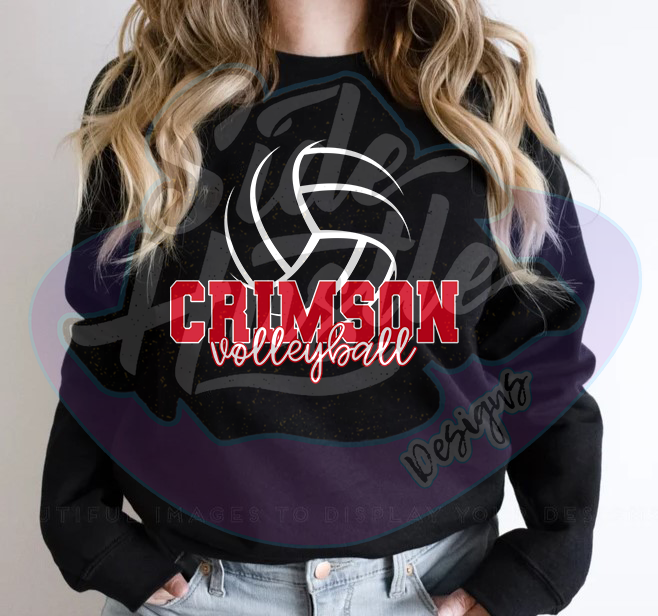 2026 VOLLEYBALL SIMPLE