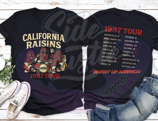 RAISIN TOUR