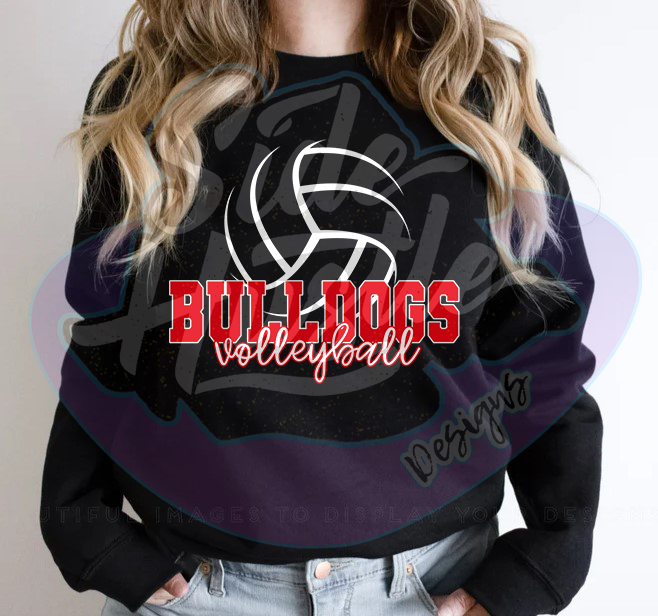 2026 VOLLEYBALL SIMPLE