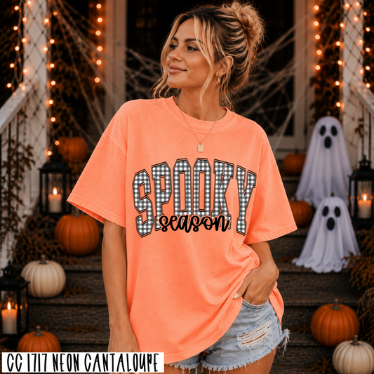 2026 SPOOKY SEASON GINGHAM
